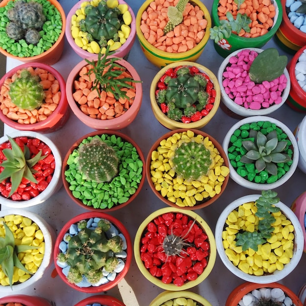 Foto vista de alto ângulo de vegetais multicoloridos à venda