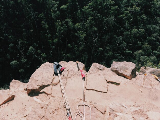 Foto vista de alto ângulo do arnês na rocha na floresta