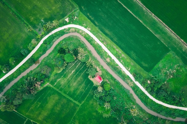 Vista de alto ângulo do campo agrícola