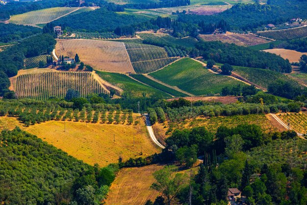 Vista de alto ângulo do campo agrícola