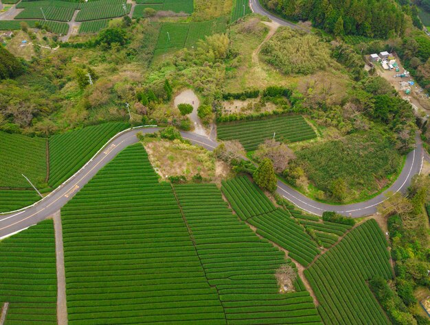 Foto vista de alto ângulo do campo agrícola