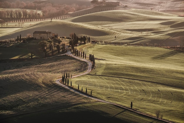 Foto vista de alto ângulo do campo agrícola