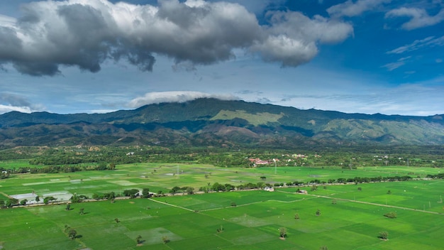 Vista de alto ângulo do campo de arroz e colina