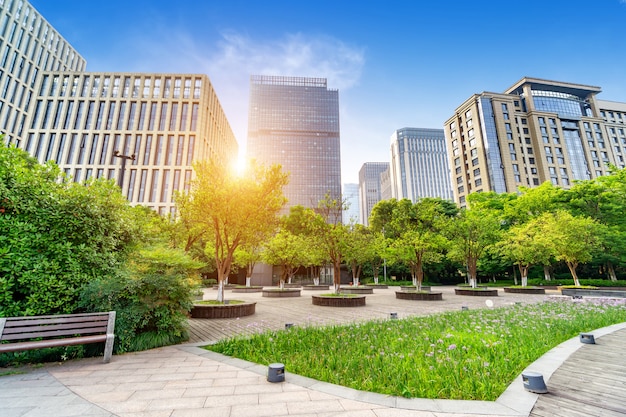 Vista de altos edifícios modernos e árvores