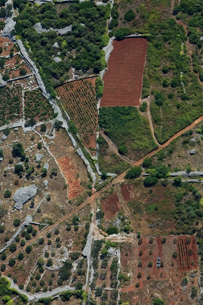 Foto vista de ângulo alto da árvore por edifício