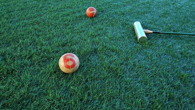 Vista de ângulo alto da bola de golfe em um campo gramado