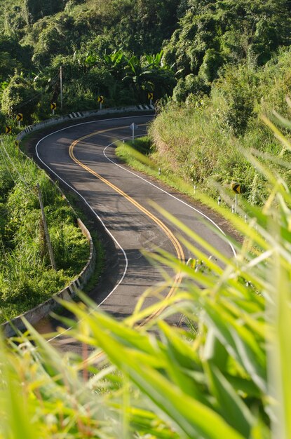 Foto vista de ângulo alto da estrada vazia pelas árvores