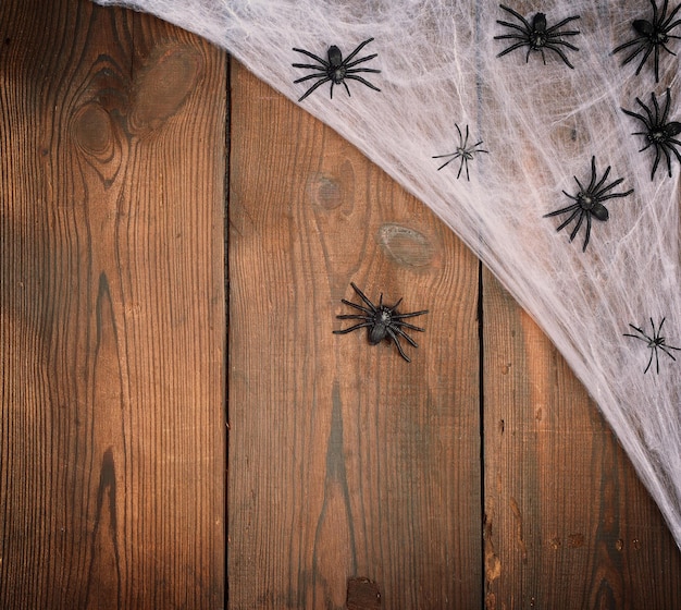 Foto vista de ângulo alto de aranha em parede de madeira
