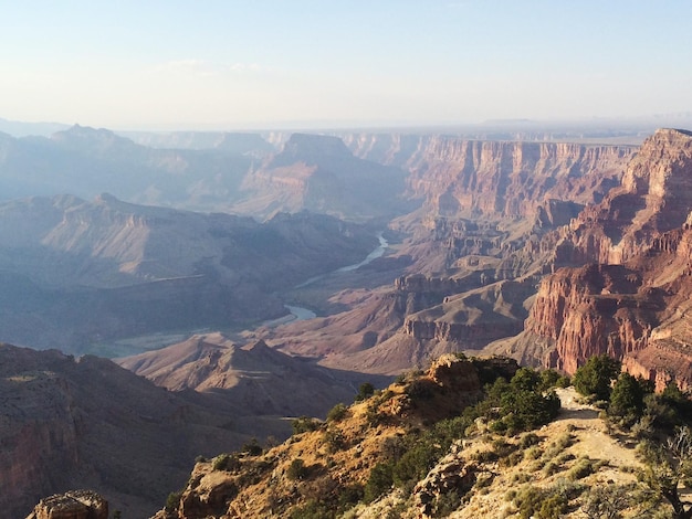 Vista de ângulo alto de arbustos na areia por montanhas rochosas
