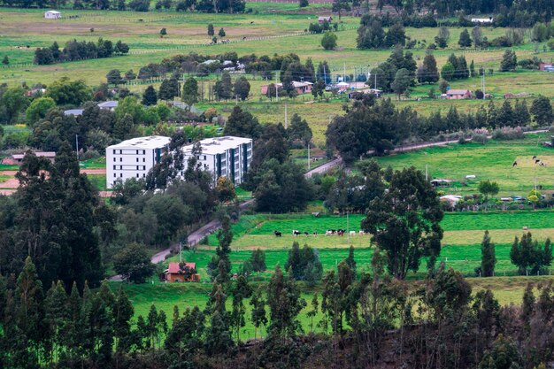 Foto vista de ângulo alto de árvores e casas no campo