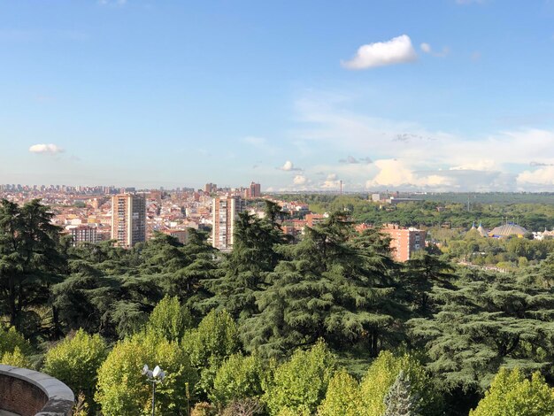 Vista de ângulo alto de árvores e edifícios contra o céu