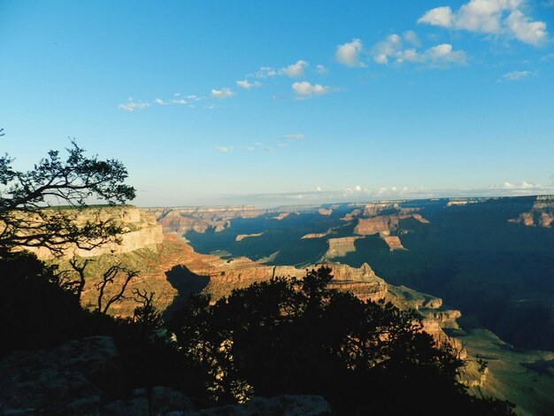 Foto vista de ângulo alto de árvores na paisagem contra o céu