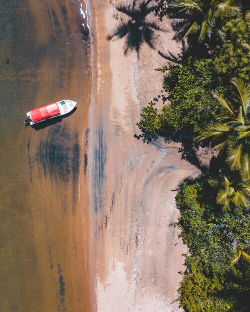 Foto vista de ângulo alto de árvores na praia