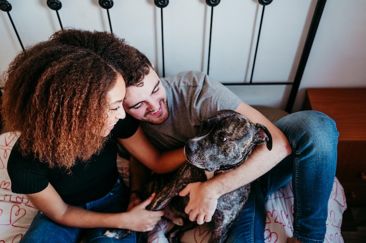 Foto vista de ângulo alto de casal com cachorro relaxando na cama em casa
