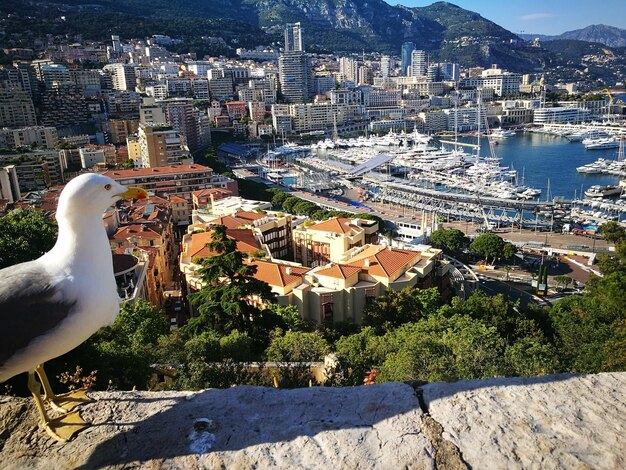 Foto vista de ângulo alto de edifícios na cidade