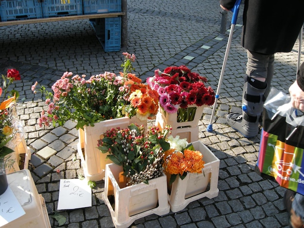 Vista de ângulo alto de flores em contêineres na rua no mercado para venda