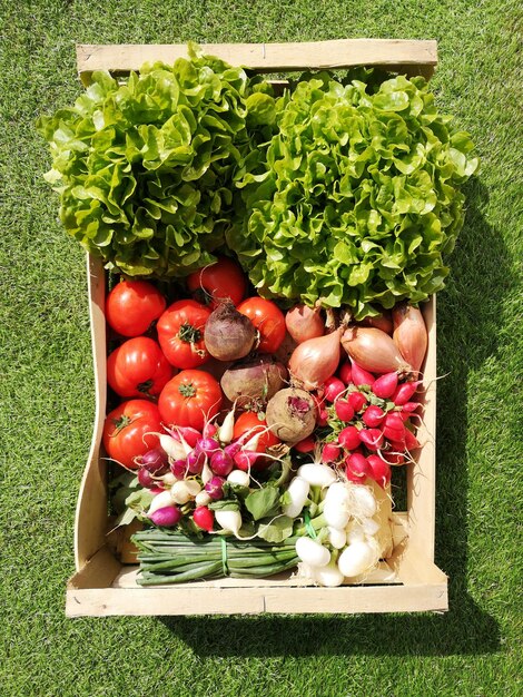 Foto vista de ângulo alto de frutas em cesta