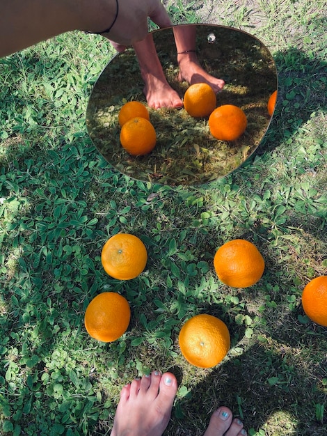 Vista de ângulo alto de frutas na mão