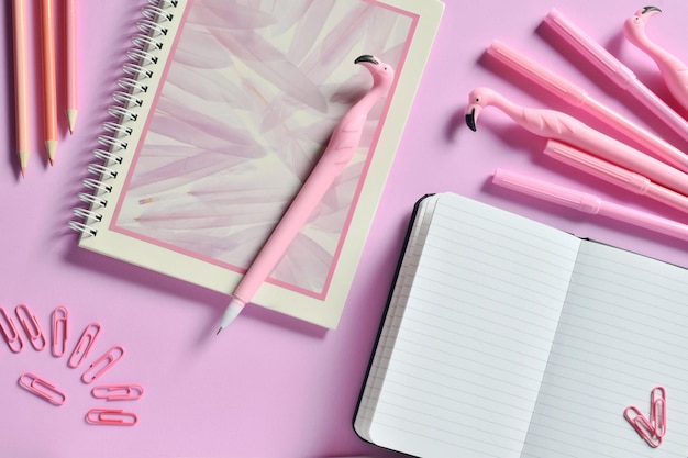 Vista de ângulo alto de livros com canetas e clips de papel em fundo rosa
