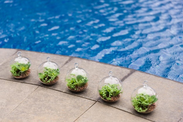 Foto vista de ângulo alto de ornamentos na piscina