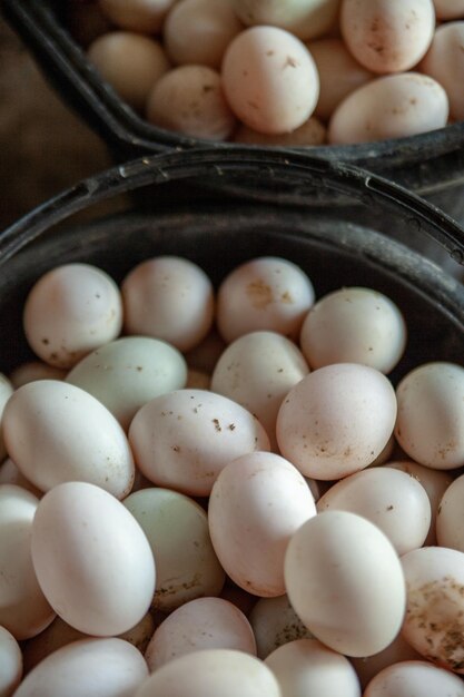 Foto vista de ângulo alto de ovos na cesta