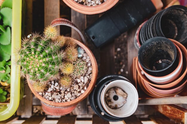 Foto vista de ângulo alto de planta suculenta com vasos de flores na mesa