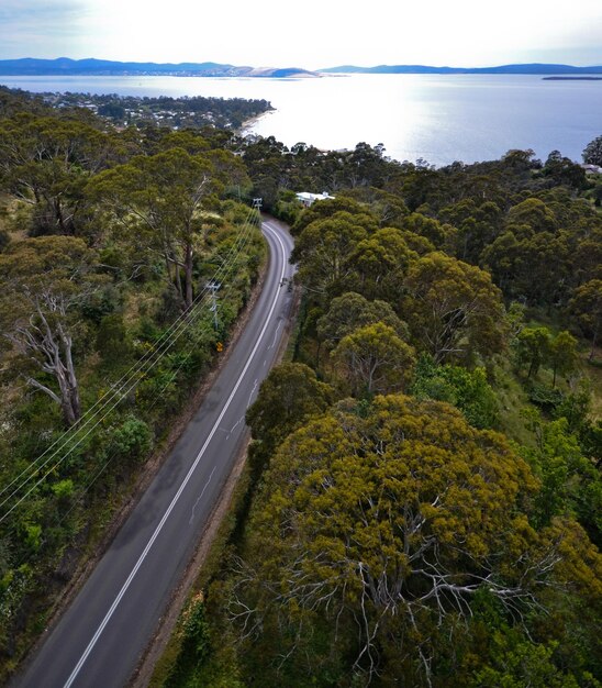 Vista de ângulo alto de uma estrada vazia em meio a árvores