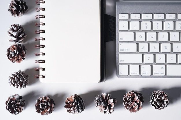 Foto vista de ângulo alto do livro com teclado e cones de pinheiro sobre fundo branco