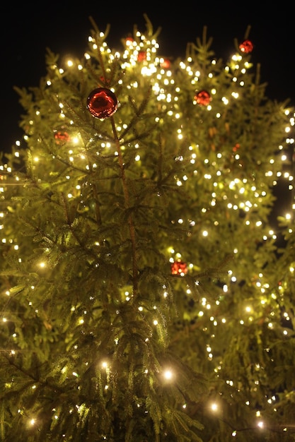 Vista de ângulo baixo da árvore de Natal à noite