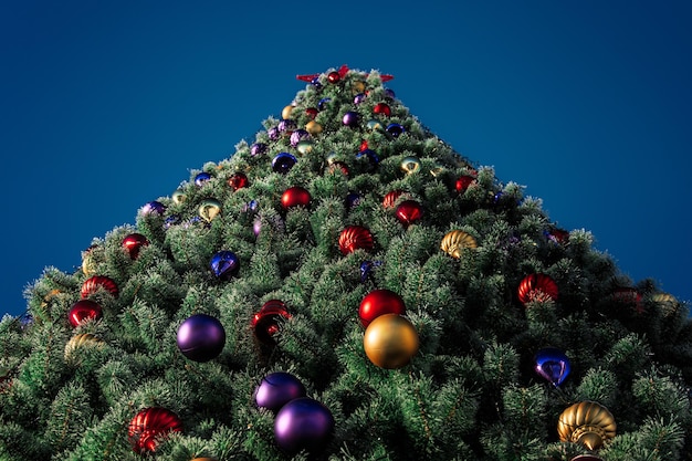 Vista de ângulo baixo da árvore de natal contra o céu claro