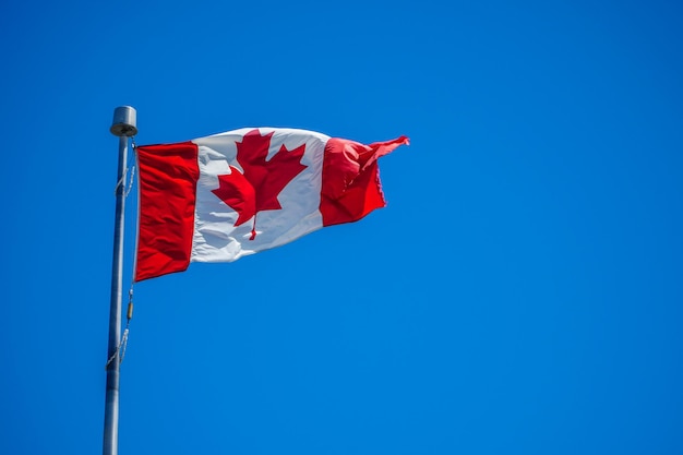 Vista de ângulo baixo da bandeira canadense balançando contra o céu azul