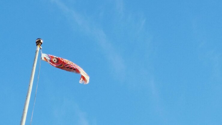 Foto vista de ângulo baixo da bandeira com peixes