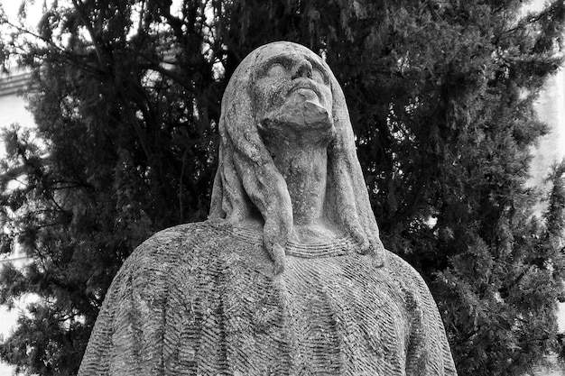 Foto vista de ângulo baixo da estátua contra a árvore