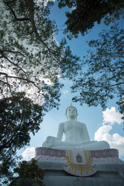 Vista de ângulo baixo da estátua de Buda contra o céu