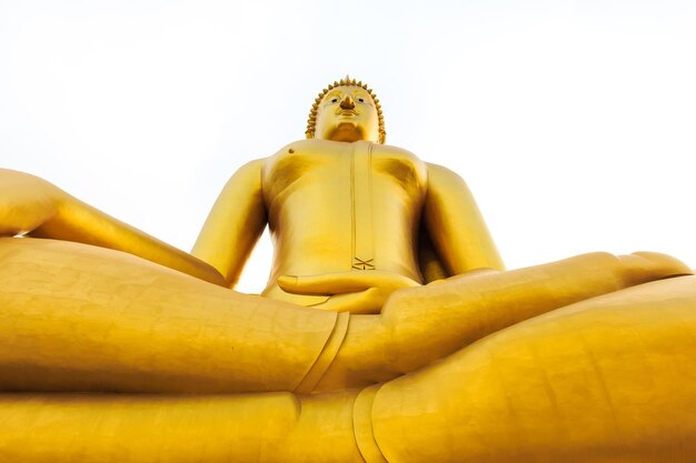 Foto vista de ângulo baixo da estátua de buda contra o edifício