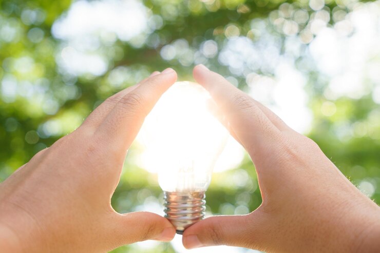 Foto vista de ângulo baixo da luz solar fluindo através da árvore