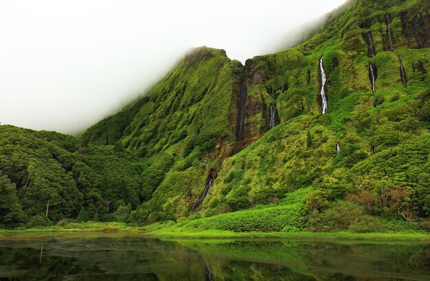 Vista de ângulo baixo da paisagem verde contra o céu