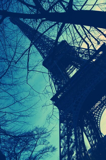 Foto vista de ângulo baixo da torre eiffel e da silhueta da árvore contra o céu azul ao anoitecer