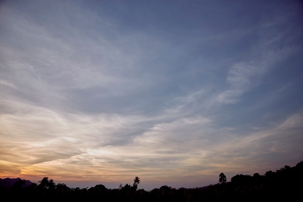 Vista de ângulo baixo de árvores de silhueta contra o céu