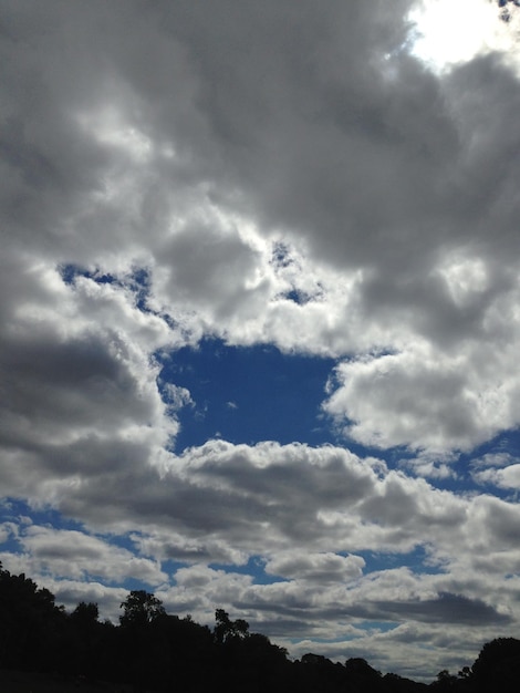 Vista de ângulo baixo de céu nublado