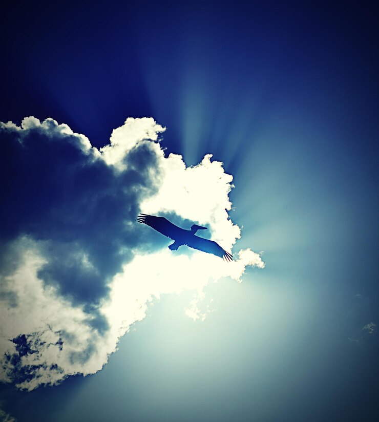 Foto vista de ângulo baixo de céu nublado