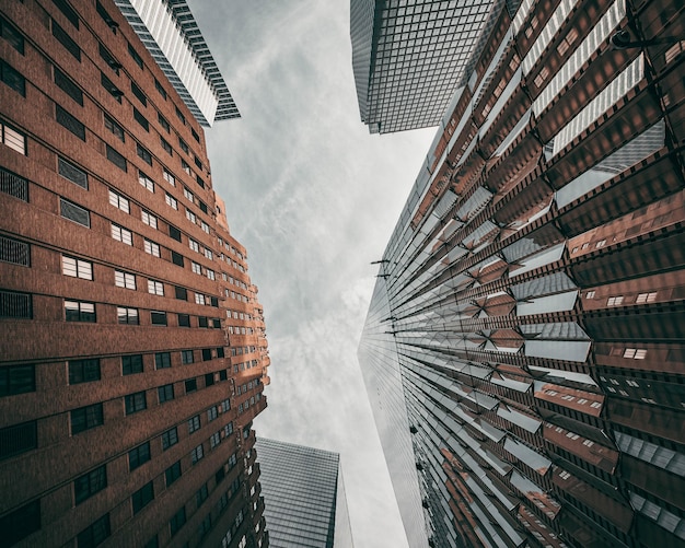 Vista de ângulo baixo de edifícios modernos na cidade