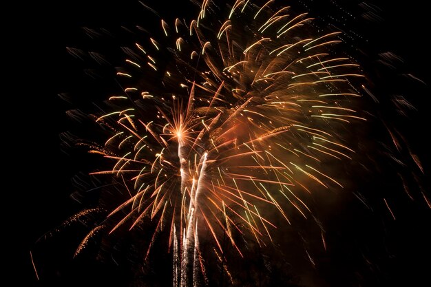 Vista de ângulo baixo de exibição de fogos de artifício contra céu claro à noite