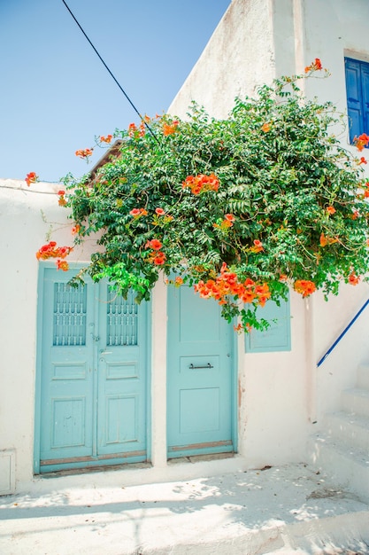 Vista de ângulo baixo de flores contra o edifício