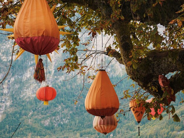 Foto vista de ângulo baixo de lanternas penduradas em árvores