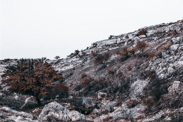 Foto vista de ângulo baixo de montanha rochosa contra céu claro