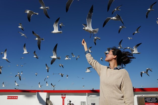 Vista de ângulo baixo de mulher alimentando gaivotas voando contra o céu