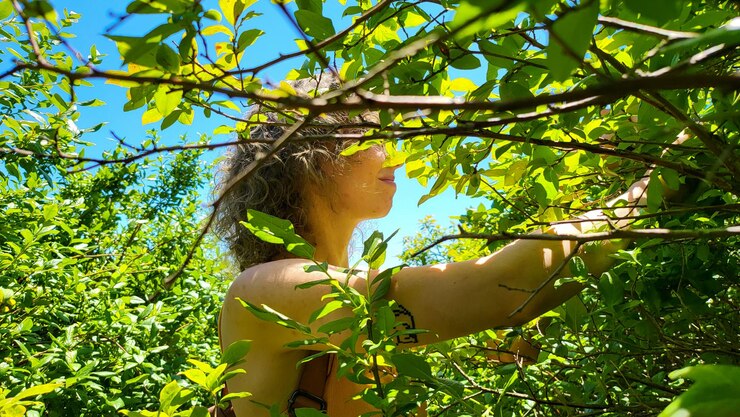 Foto vista de ângulo baixo de mulher segurando maçãs