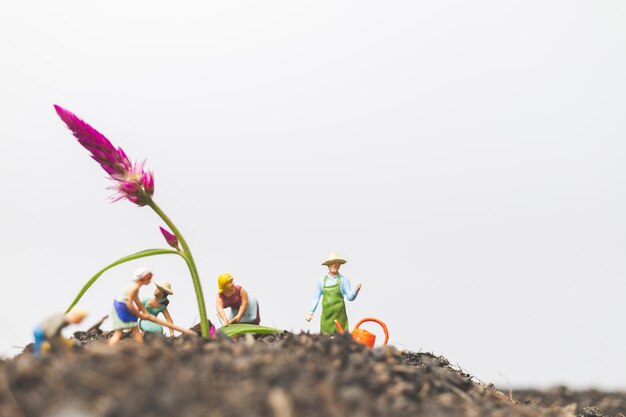 Foto vista de ângulo baixo de planta em flor contra o céu claro