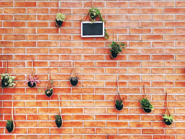 Foto vista de ângulo baixo de planta em vaso contra parede de tijolos